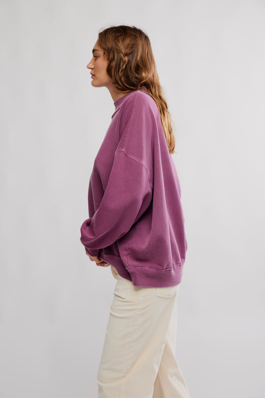 Palm Springs Turtle in Damson