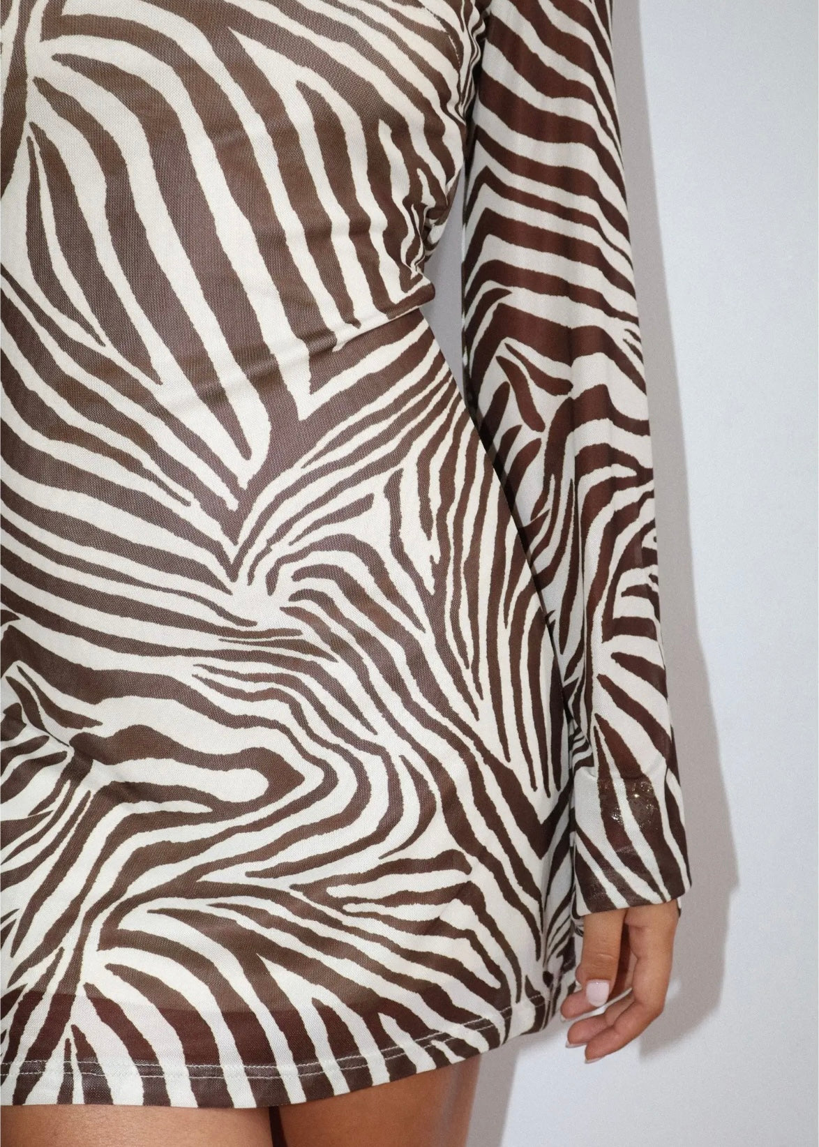 Zebra Print Mini Dress