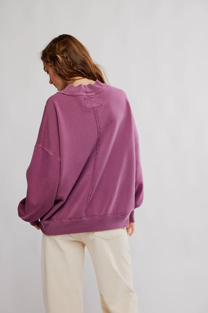 Palm Springs Turtle in Damson