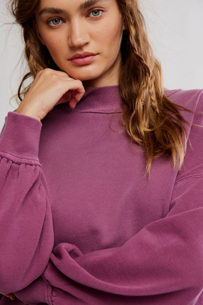 Palm Springs Turtle in Damson