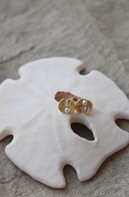 Clam Studs