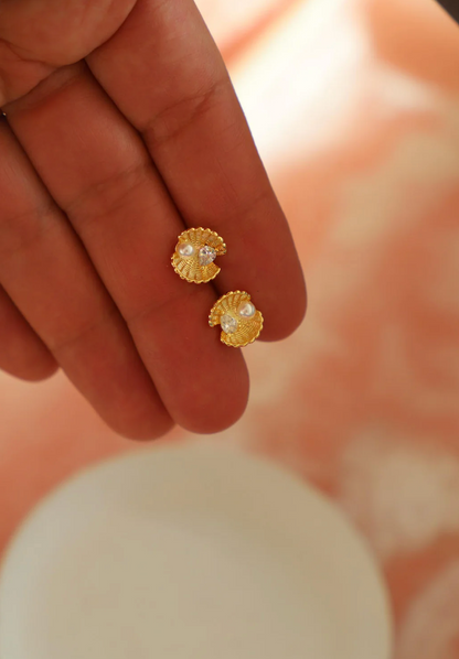 Clam Studs