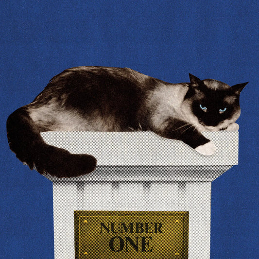 Cat's Pajamas Art Print